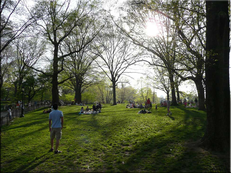 Center Parc New York 007