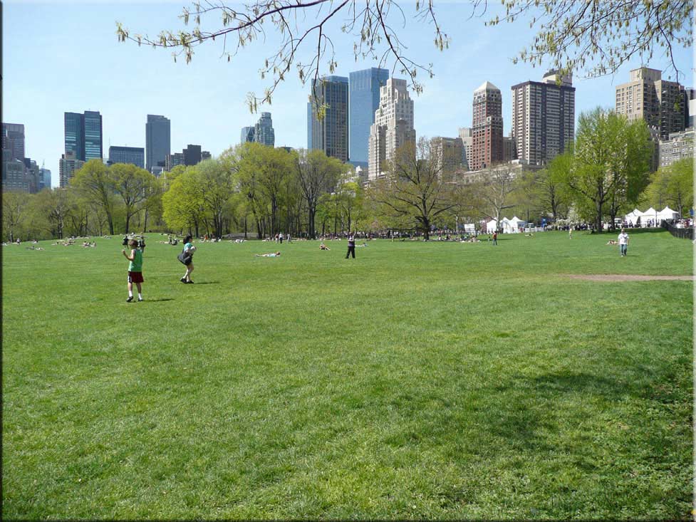 Center Parc New York 019