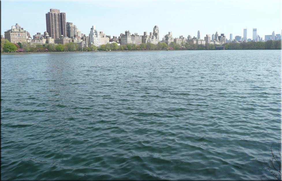 Center Parc New York 027