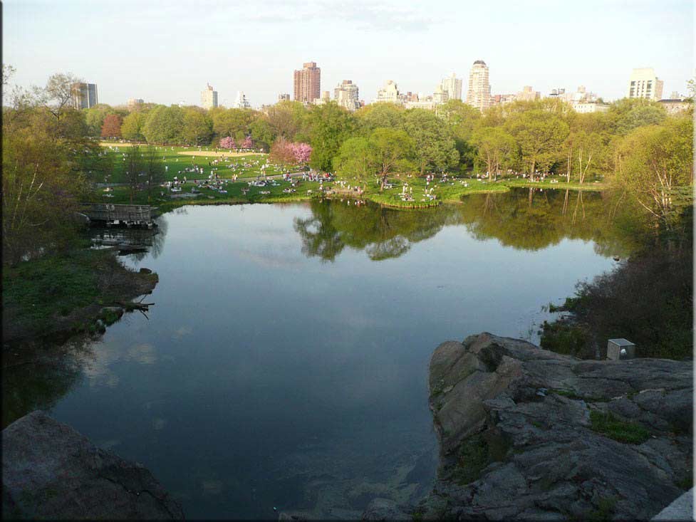Center Parc New York 041