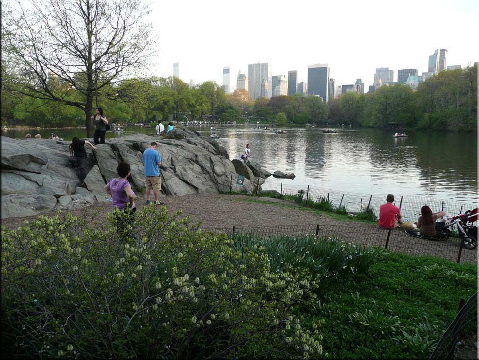 Center Parc New York 046