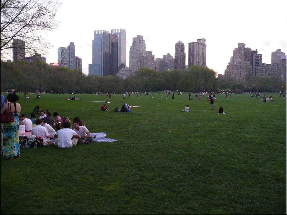 Center Parc New York 056
