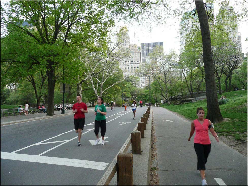 Center Parc New York 061