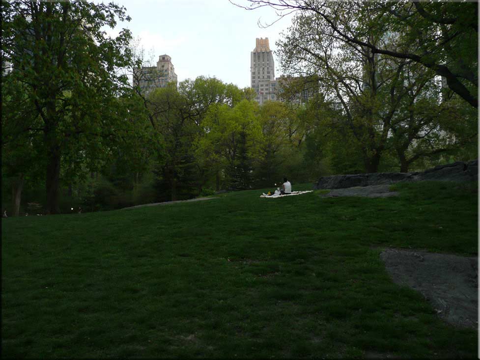 Center Parc New York 063