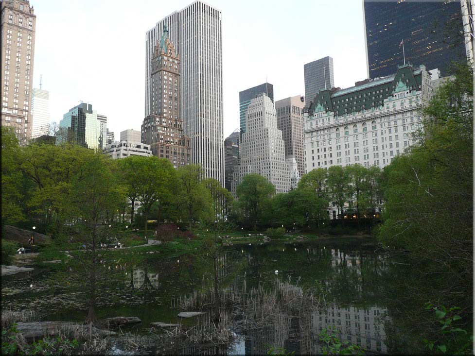 Center Parc New York 065