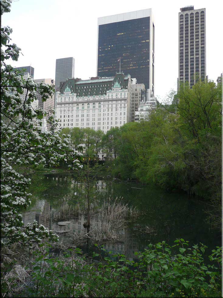 Center Parc New York 066