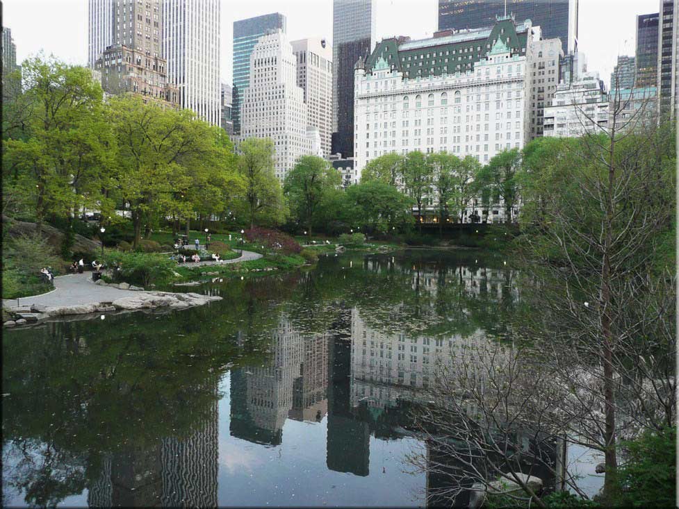 Center Parc New York 067