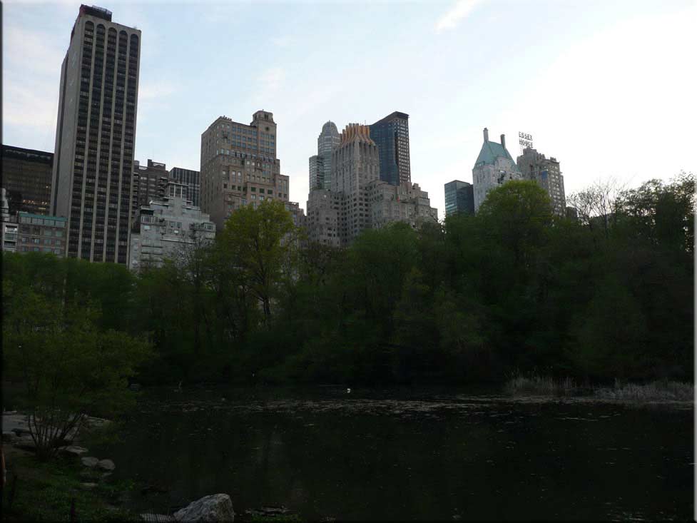 Center Parc New York 071