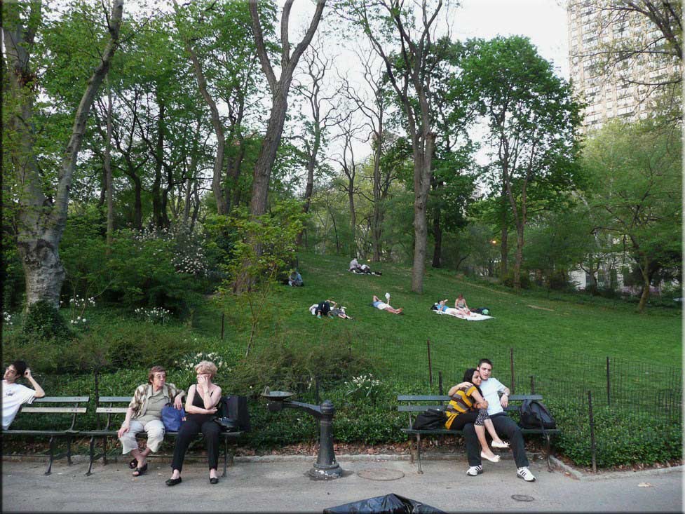 Center Parc New York 074