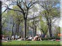 Center Parc New York 015