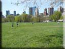 Center Parc New York 019