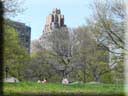 Center Parc New York 023