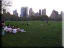 Center Parc New York 056