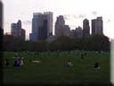 Center Parc New York 057