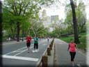 Center Parc New York 061