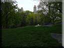Center Parc New York 063