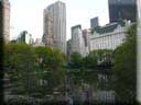 Center Parc New York 065