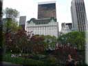 Center Parc New York 073