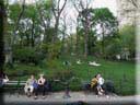 Center Parc New York 074
