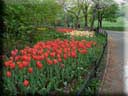 Center Parc New York 081